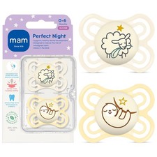 Glow in the Dark Baby Pacifier 2 Pack