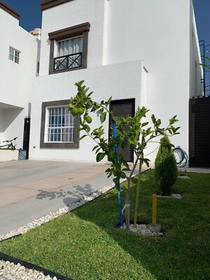 SE RENTA CASA AMUEBLADA, CON CASA CLUB, EN MOLINO DE AGUA