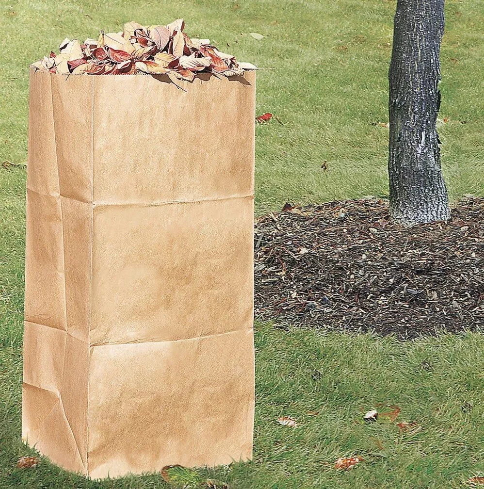 The Home Depot Kraft Paper 2-Ply Lawn, Leaf and Yard Waste Bags (25-Pack)