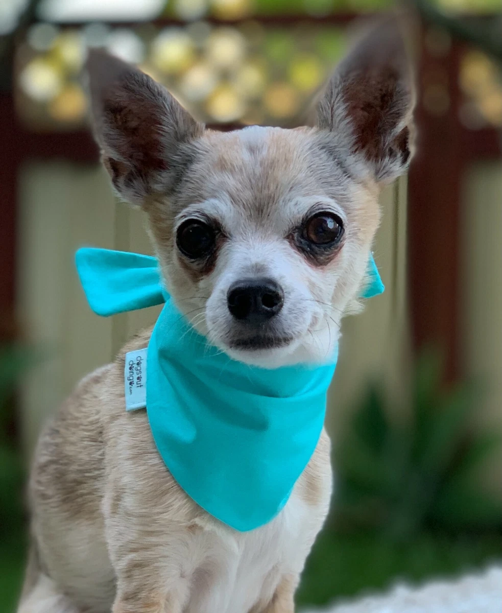 Personalised Tie-On Plain Dog Bandana - Dogs Out Doing - Hand Made in  Australia | eBay