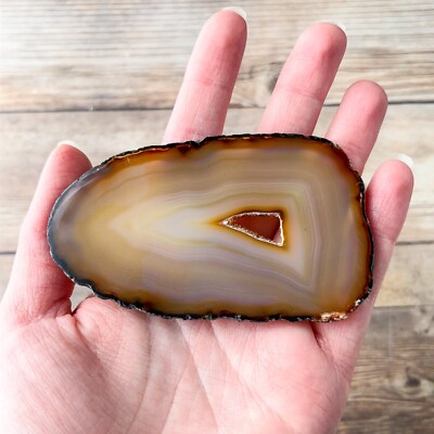 Natural Agate Geode Slice Size 1