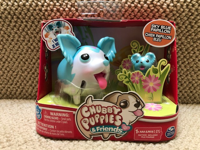 chubby puppies & friends