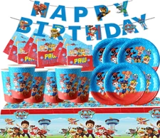 PAW PATROL SKYE birthday party supplies favor centerpiece decoration event theme