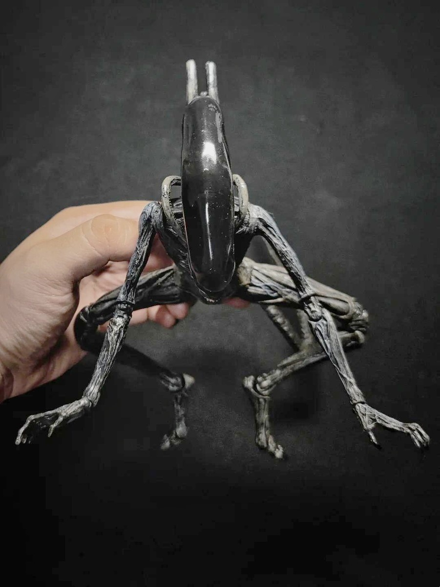 NEW NECA Alien：Covenant Movie figure Xenomorph Warrior 7