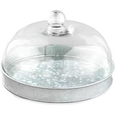 SkyMall Galvanized Metal and Glass Dome Server - Silver