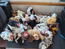 Ty Beanie Babies Baby Dogs- Choose from many different