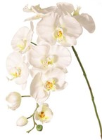 Artplants Kunstzweig Orchidee Wesa, Weiß, 100Cm