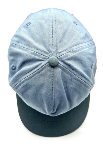 Sombrero Patagonia Azul Claro Logo Ridge Stripe Funfarer Snapback Netplus Raro - Imagen 5 de 9