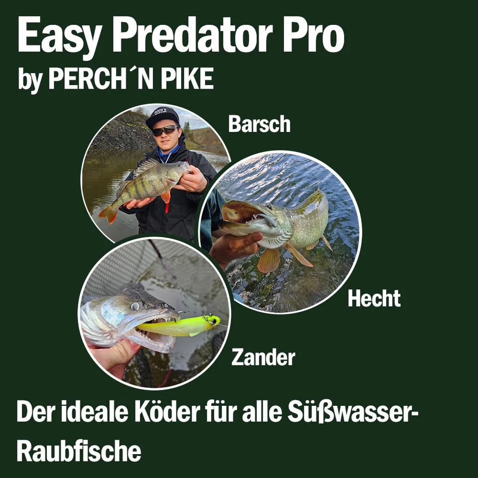 Gummifische mit Haken im 6er Set | Kunstköder für Hecht Zander & Barsch | Köder - Bild 4 von 4