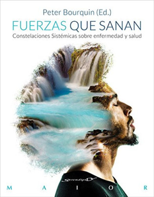 Fuerzas que sanan : constelaciones sist�micas sobre enf - Spanish Language Paper