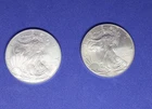 LOT OF TWO (2) American Silver Eagles Coins 1 oz .999 (2010 and 2014)