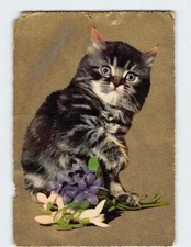 Postcard Cute Cat & Flower Art Print