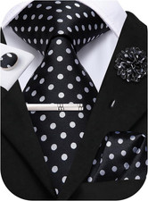 Mens Paisley Floral Striped Ties Set Silk Necktie and Lapel Pin for Men