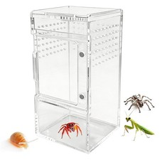 Jumping Spider Enclosure Clear Acrylic Reptiles Box with Vent Hole