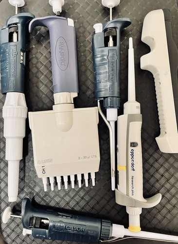 Pipetman Gilson monocanale 200-50 uL - Foto 4 di 9