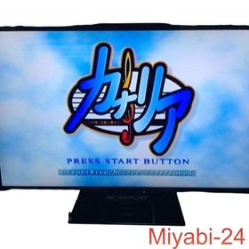 Canary Dreamcast Game Japan Import, Excellent Condition, Simulation, HKT-3000