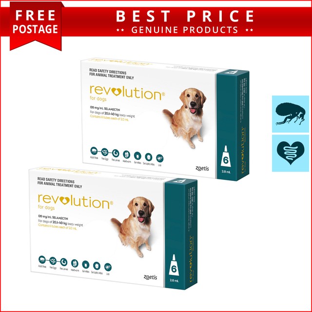 Revolution Flea Control for Dogs 20.140kg Teal for sale online eBay