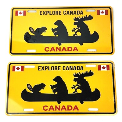 "I'd Rather BE In Big Bear Lake" License Plate Frame - Metal Car Accessory For Mountain Lovers