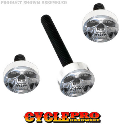 Windshield Bolt Kit for 14-Up Harley Electra & Street CHROME SKULL - 028