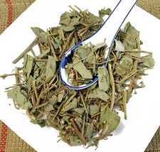 金钱草 Jin Qian Cao / herba Lysimachiae