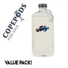 1 Gallon Copepods - Tisbe, Trigio, Apo Copepods - Shipped with Phyto In bottle 