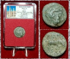 Ancient GREEK Coin MACEDONIA PELLA Helmeted ATHENA On Obverse Ox On Reverse