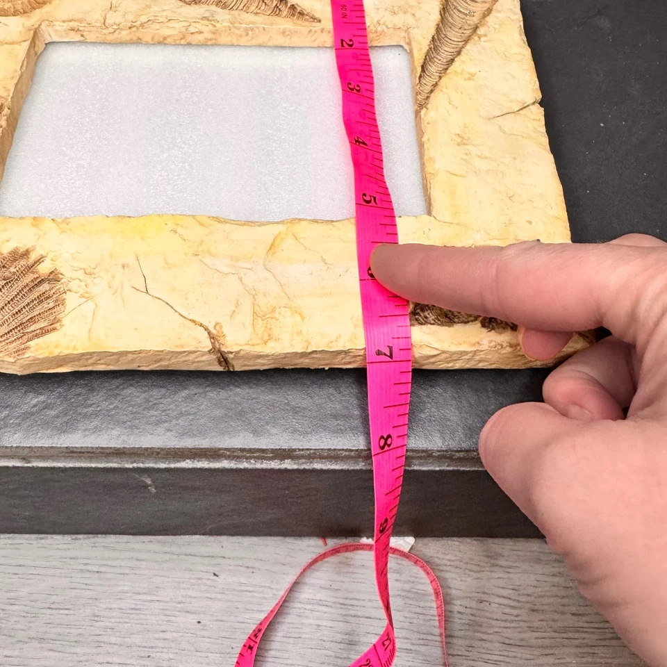 Marco de fotos fósil de colección playa náutica concha marina amonita decoración hogar acento regalo Foto 2 de 4