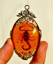 Rare Vintage Amber  Scorpion Amulet Pendant Set in Ornate  Silver Design 2.75"