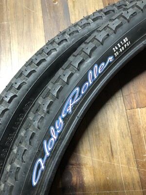maxxis holy roller 24