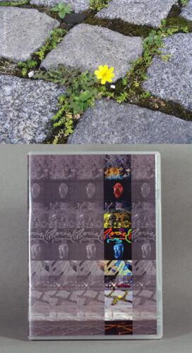 MARIO STRACK - Artcard & "The Clips 4" Kunst DVD 2006-2009 Artclips Musik Video - Bild 1 von 4