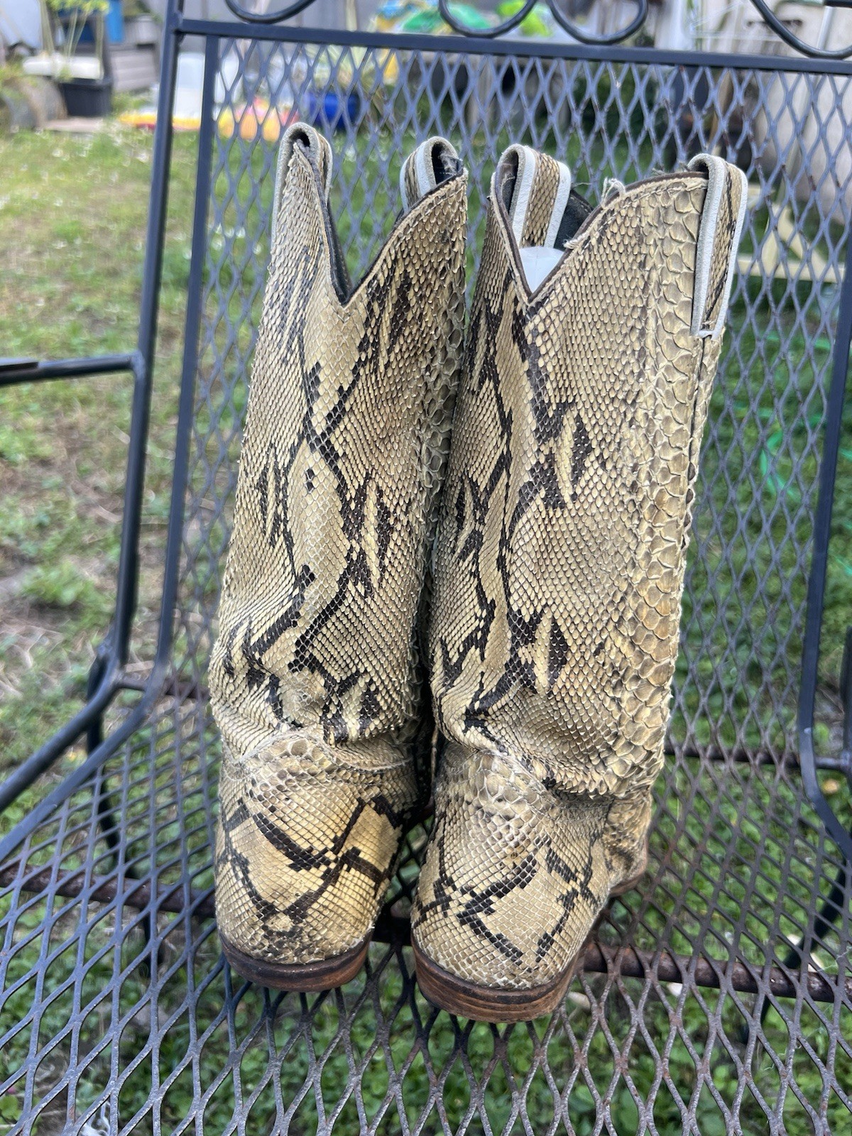 Full Natural Brown Genuine Snakeskin Python Men C… - image 6