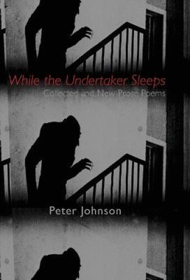 While the Undertaker Sleeps by Peter Johnson