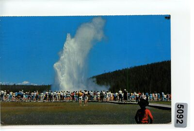 #ad Old Faithful Geyser Postcard Yellowstone National Park Wyoming 1971 $5.88