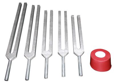 Radical 4 ASTEROID Tuning Gabel Aktivator Und Tasche