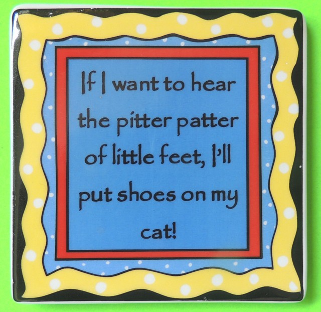 If I Want to Hear PitterPatter of Little Feet I'll Put Shoes on My Cat