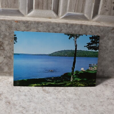 Land o Lakes Wisconsin Hartmans Maple Grove Resort Lac Vieux Desert WI Postcard