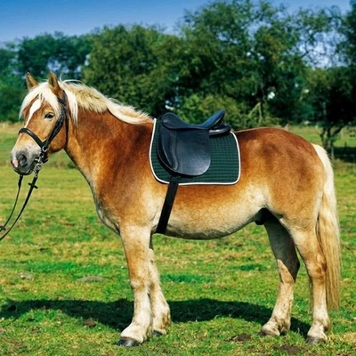 Excelsior Reitsattel Kaltblutsattel aus Leder 18" - Bild 1 von 3