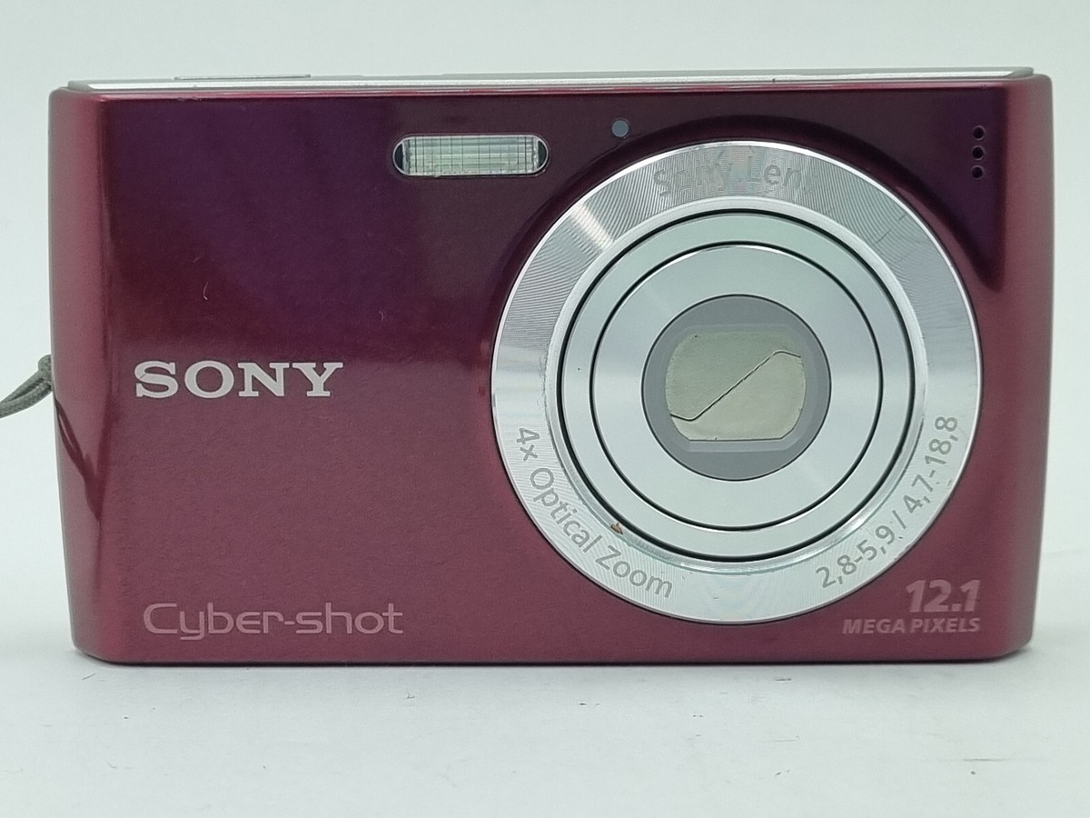 書き溜め space: SONY Cyber-shot DSC-P100