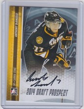 2014 ITG DRAFT PROSPECTS ANTHONY DeANGELO AUTOGRAPH AUTO A-AD1 LIGHTNING