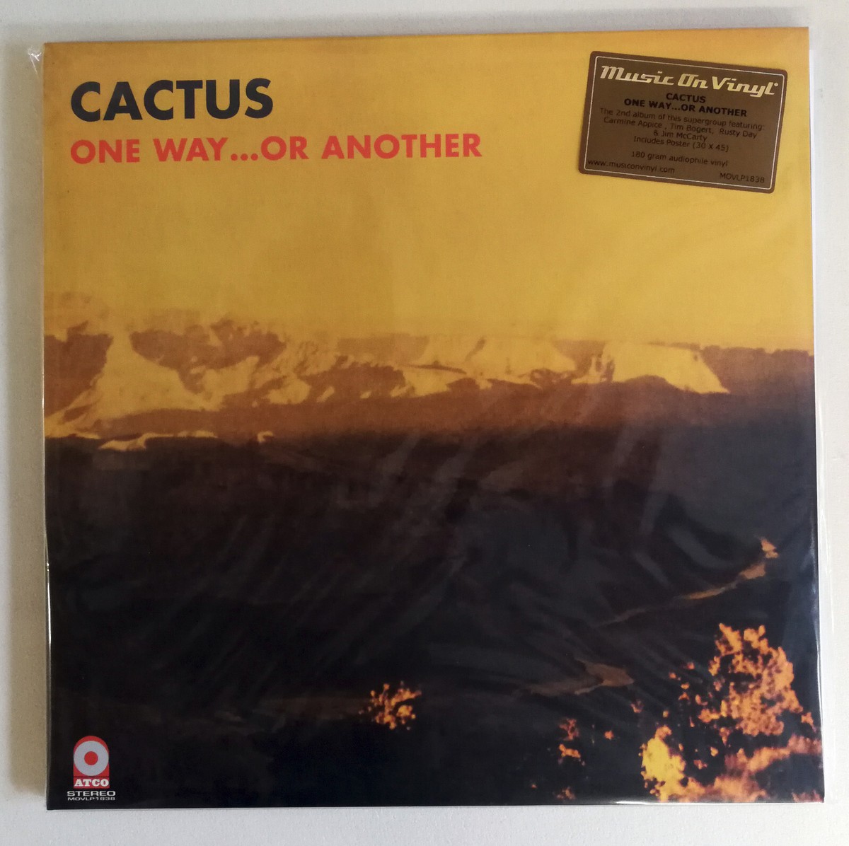 12" LP Vinyl Cactus One Way Or Another Audiophile 180G Press - NN24 | eBay