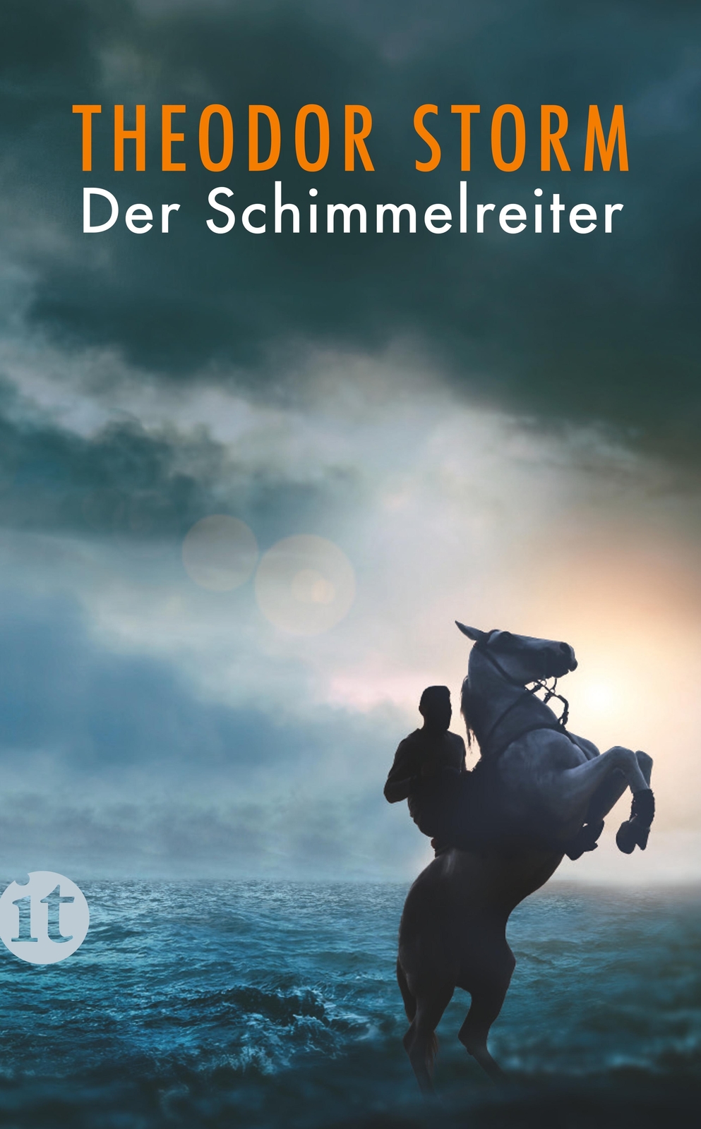 Theodor Storm / Der Schimmelreiter