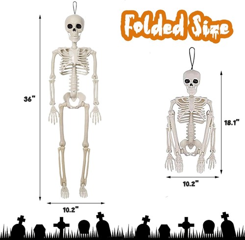 euoloar 2 Pack 36