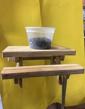 Bird/squirrel Feeder