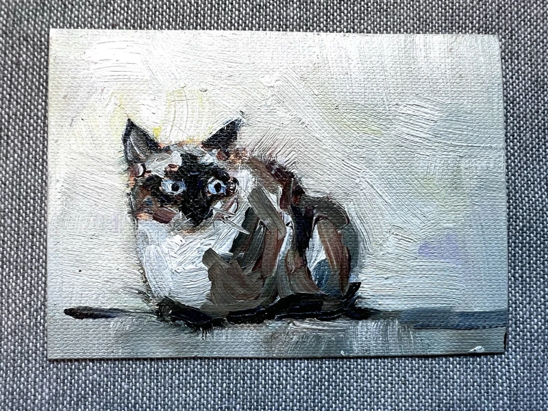 ACEO ORIGINAL Abstract Cat “Siamese” Artist Siby, Oil, 2026 India