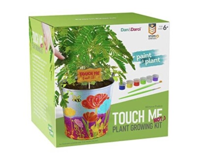 Touch Me Not Plant Growing Kit