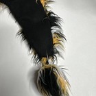 Bild 7 von 9