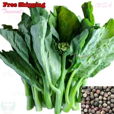 Kai-lan Seeds | Chinese Broccoli, White-flowering Broccoli, Chinese Kale Seeds