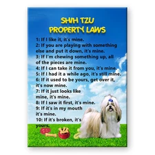 SHIH TZU Property Laws FRIDGE MAGNET Steel Cased DOG