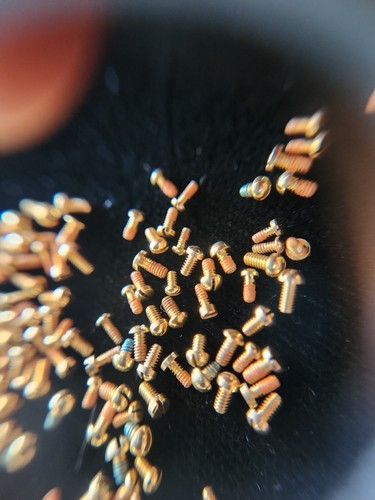 Assortment (1pc) Breitling Rider/Bezel Screws 18K - Picture 3 of 5