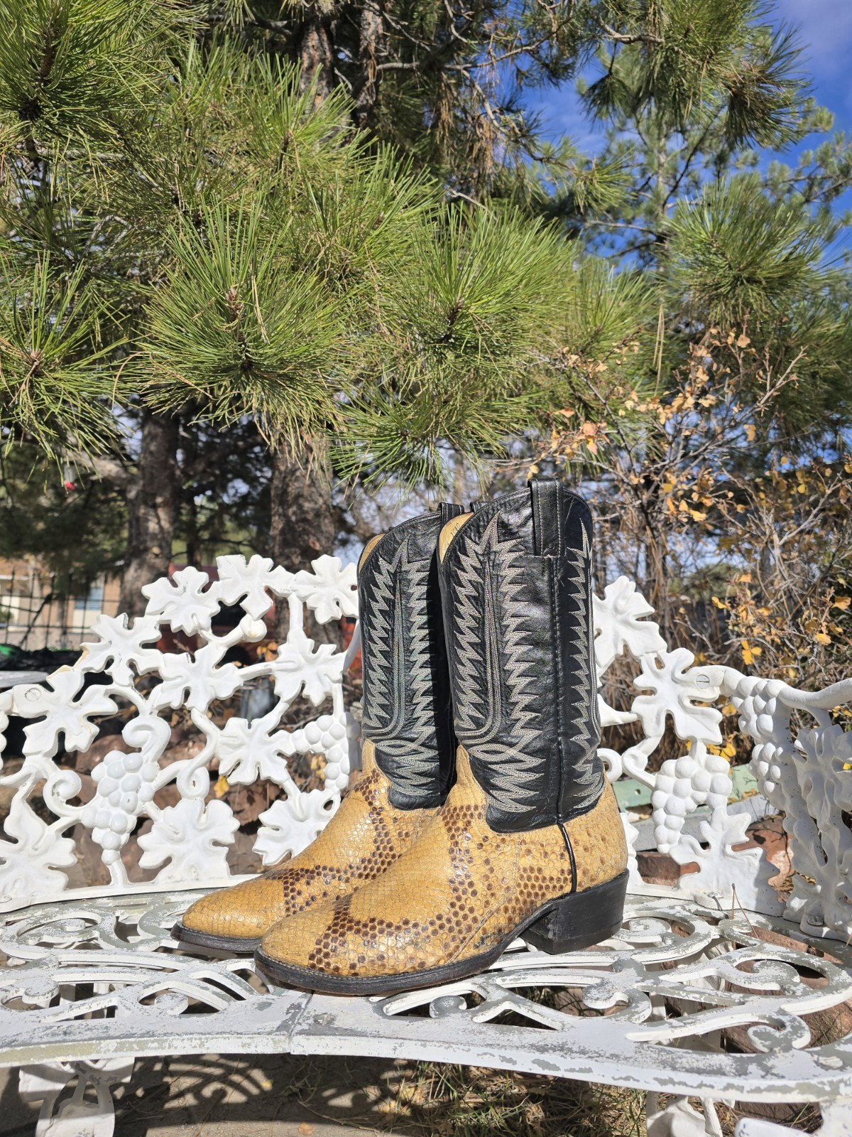 9.5D 🔥🐍 ROCK PYTHON SNAKESKIN POINTED TOE🔥🐍 V… - image 9